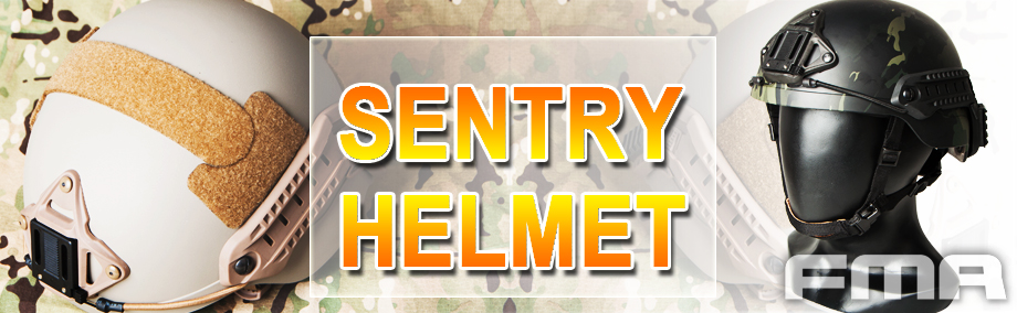Sentry Helmet